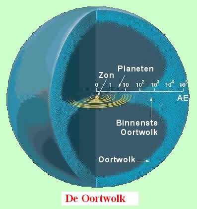 oortwolk.jpg