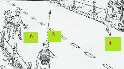 fig19.jpg